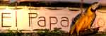 El Papagayo Bar