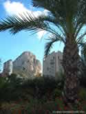 Penon de lfach, building & palm tree