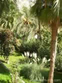Guadalest gardens