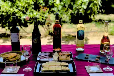 Tapas, Food and Drink Tours