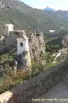 XXXF